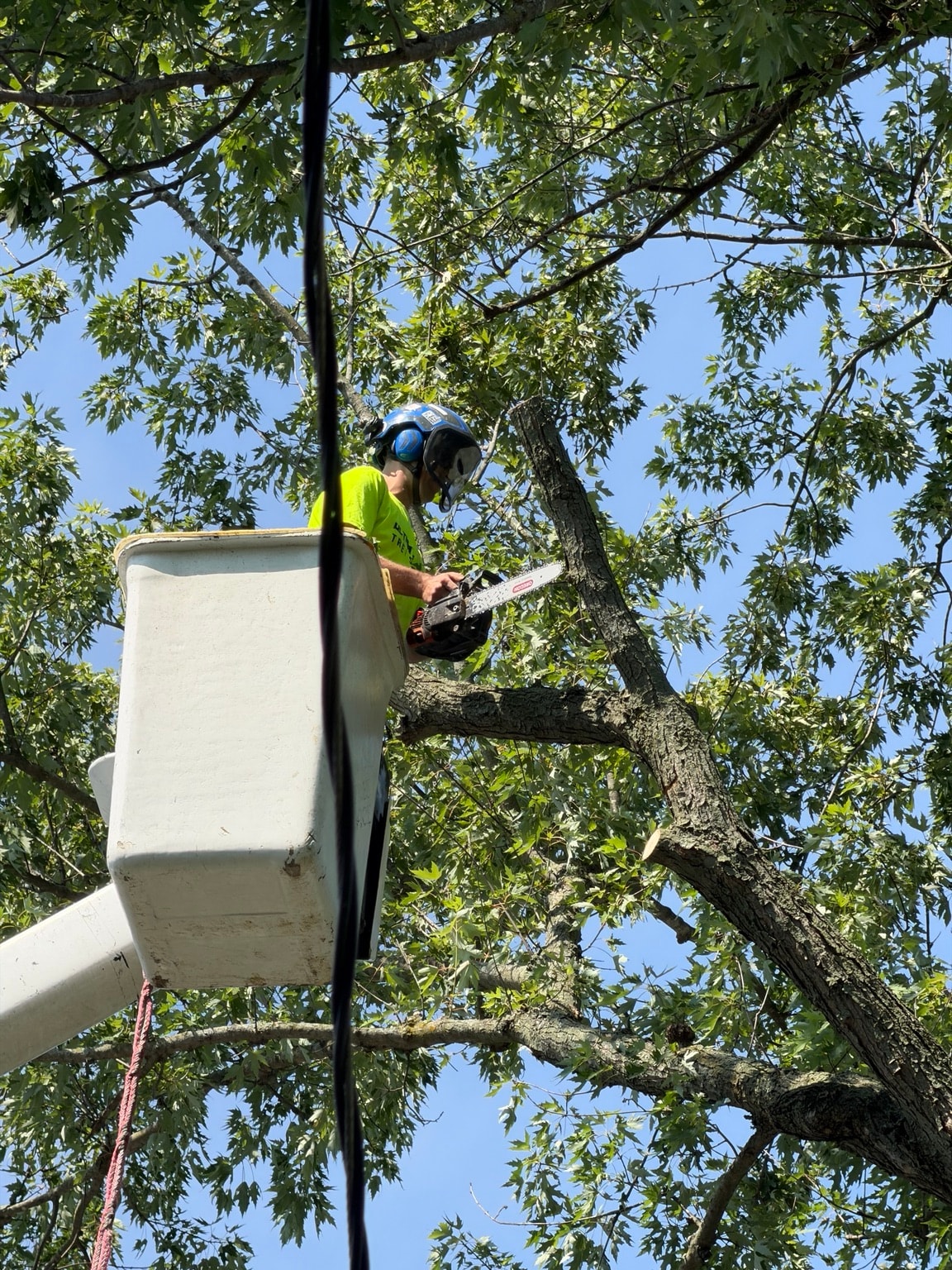 Ultimate Cut Tree Service bucket operator in helmet and hearing protection trimming a tree in Midland, MI