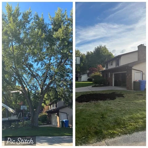 Tree removal before and after — country property